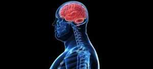 obesitas-informasi-ketika-otak-terlalu-banyak-menerima-data-tetapi-kekurangan-moral