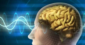 obesitas-informasi-ketika-otak-terlalu-banyak-menerima-data-tetapi-kekurangan-moral