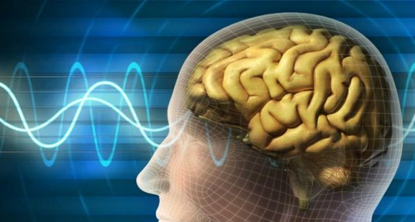obesitas-informasi-ketika-otak-terlalu-banyak-menerima-data-tetapi-kekurangan-moral